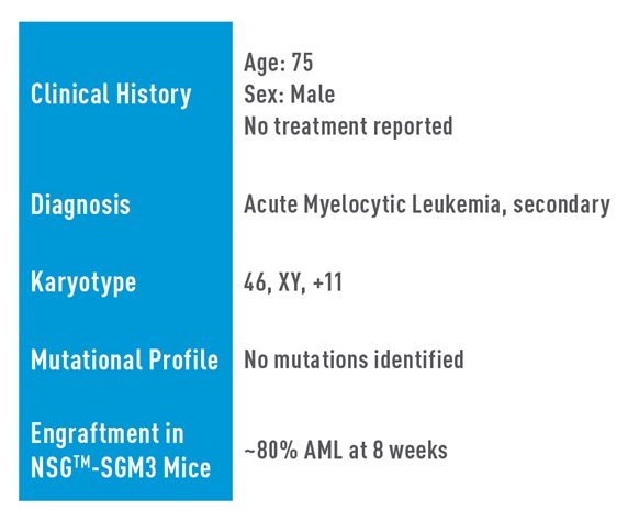 AML Studies