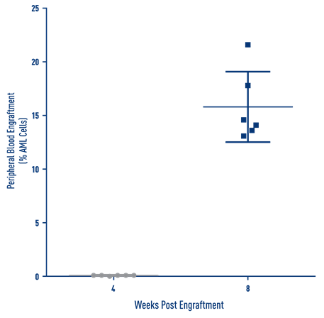 AML Studies