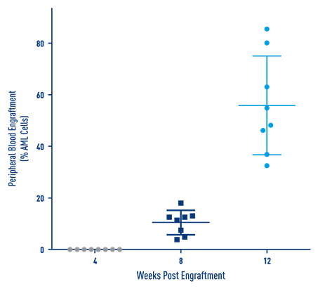 AML Studies