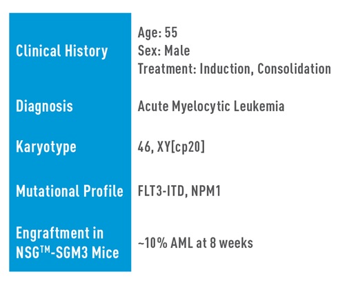 AML Studies